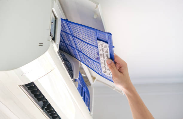 Best Air Duct Mold Removal  in Sacaton, AZ